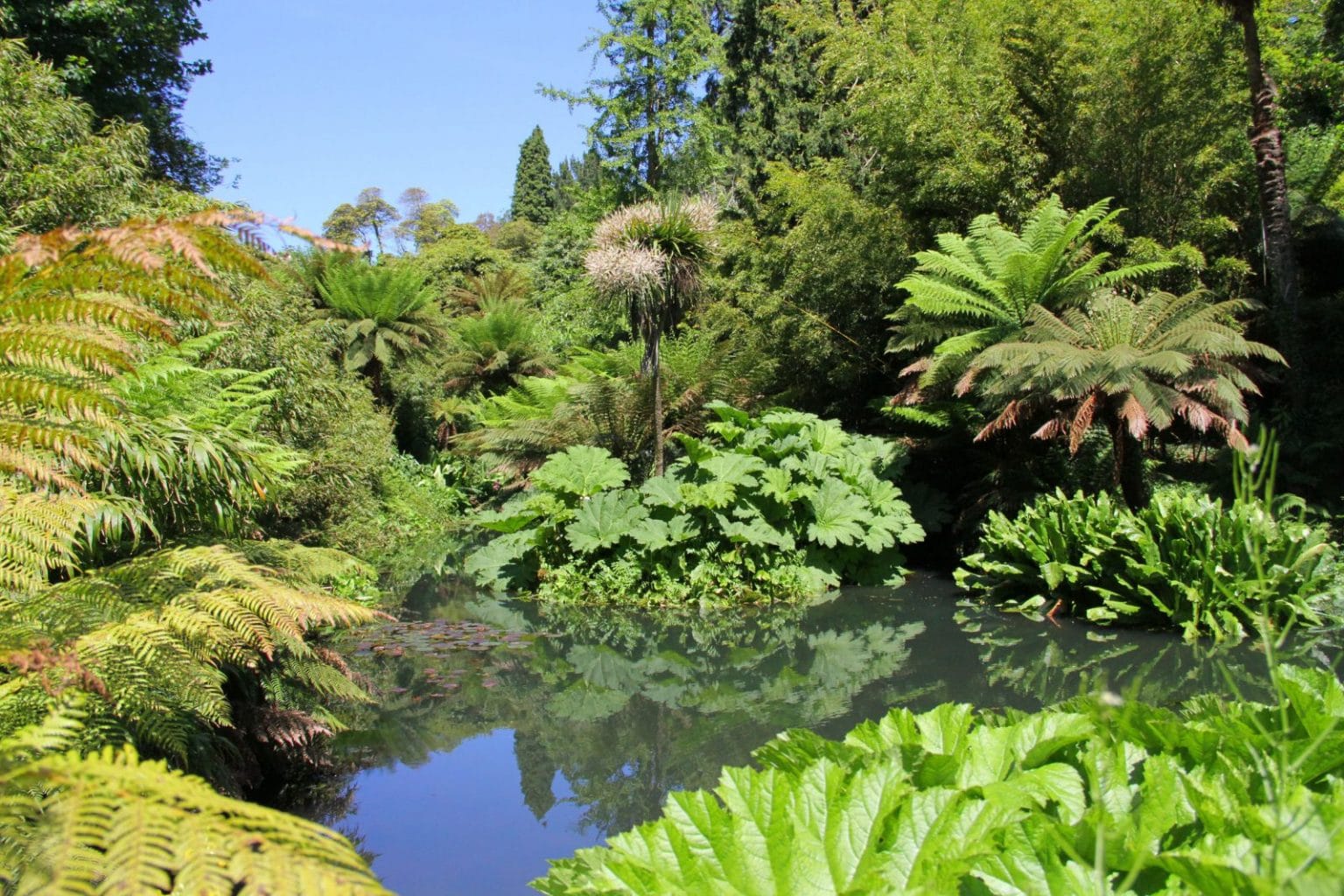 the-lost-gardens-of-heligan-the-white-hart-hotel